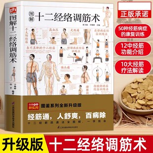 图解十二经络调筋术正版十二经筋疏通法全图解一学就会50种经筋病症的康复训练12种经筋功用介绍10大经筋疗法方法解读中医样书书籍