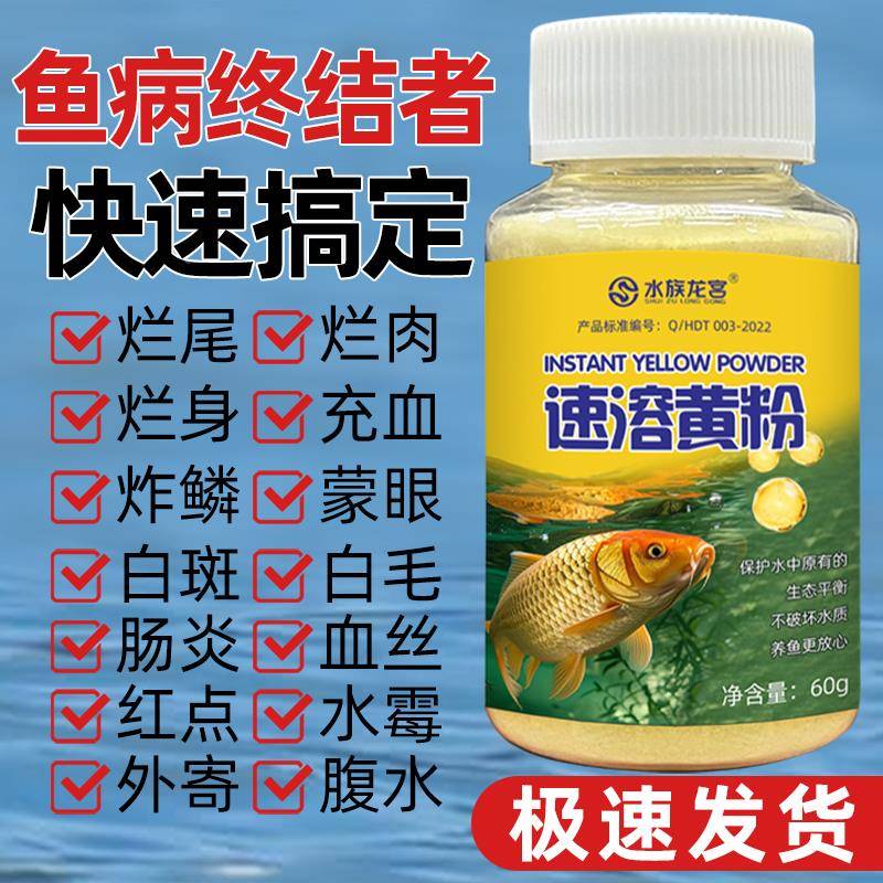 产66627烂水族龙尾黄粉质调水水杀宫菌养观鱼赏提升身白毛水养鱼