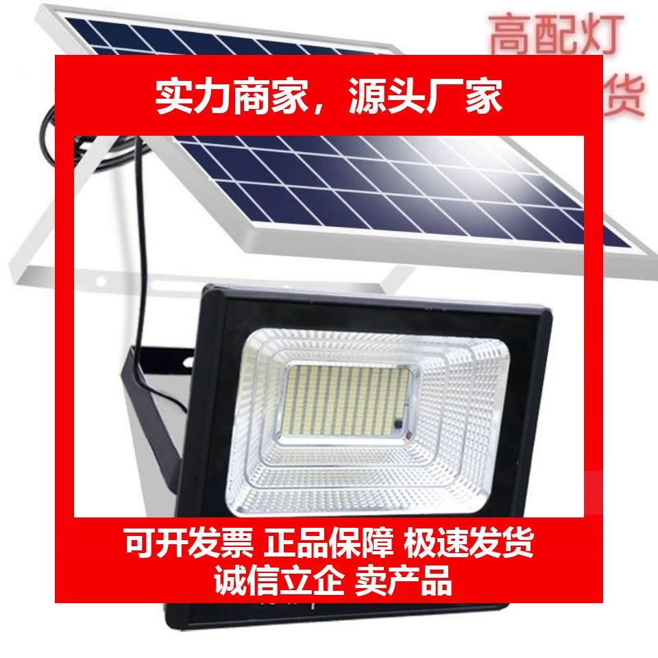 德国十大品牌太阳能灯照明灯家用户外庭院灯路灯300W5000W3000W10