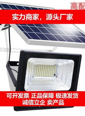 德国十大品牌太阳能灯照明灯家用户外庭院灯路灯300W5000W3000W10