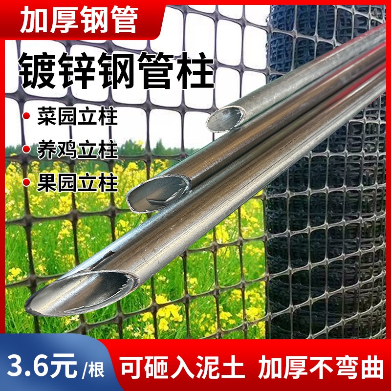 德国品质钢管围栏立柱杆加厚尖头菜园角钢爬M藤架养鸡支撑杆方管