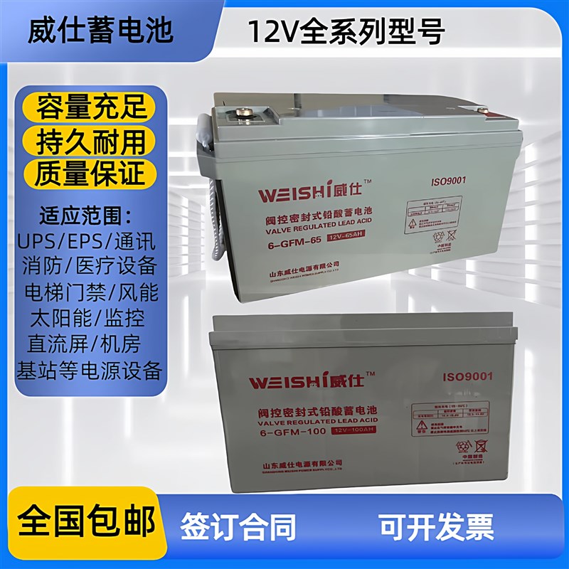 德国品质电池12V7AH12V24AH12V38AH12FV65AH12V100AHUPS消防电梯