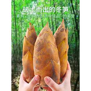 新鲜冬笋现挖竹笋5斤当季蔬菜苦笋雷笋腌笃鲜毛笋春甜笋整箱包邮5