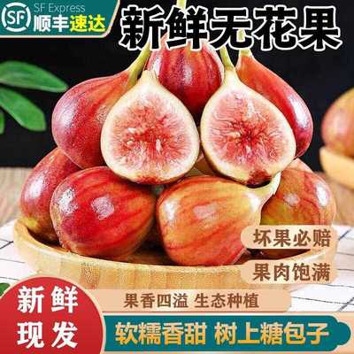 【顺丰5斤】新鲜红皮无花果鲜果孕妇水果应当季大果青红皮新鲜果