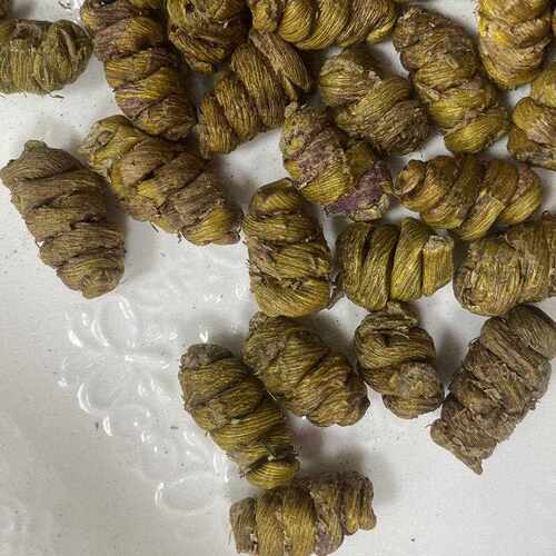 永秀堂 铁皮石斛精选铁皮石斛枫斗种植石斛颗粒25g可代磨粉