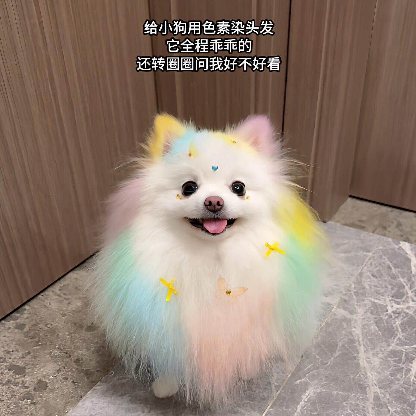 宠物狗毛发染色剂不伤毛发一次性染发食用色素安全食品级节日装扮