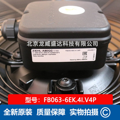 FB063-6EK.4I.V4P,德国ZIEHL-ABEGG施乐百风机 海洛斯 阿尔西