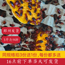 樱桃红蟑螂樱桃蟑螂活体饲料蜘蛛螳螂守宫蛙蝎子蚂蚁饵料