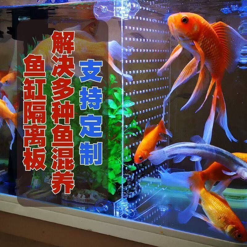 鱼缸内置隔离板隔板透明亚克力板挡板盖板挡鱼水族箱分离板隔断隔图片