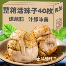 活珠子新鲜13天五香味毛蛋毛鸡蛋开袋即食香辣40枚熟凤凰钢化麻辣