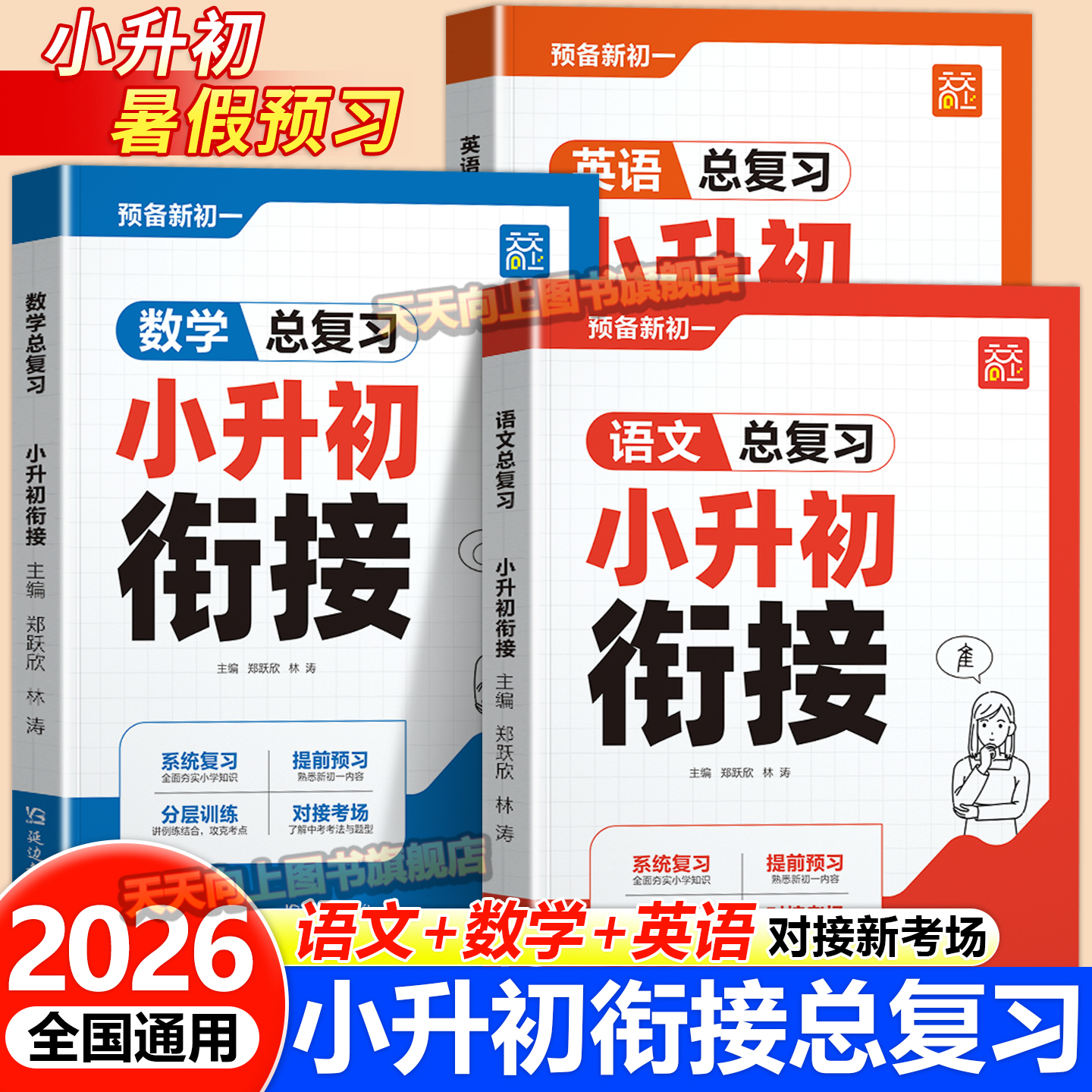 2026新天天向上小升初衔接教材语文数学英语总复习预备新初一全国通用小学六年级升初中经典真题剖析解题思路详解基础知识衔接 - 实物图
