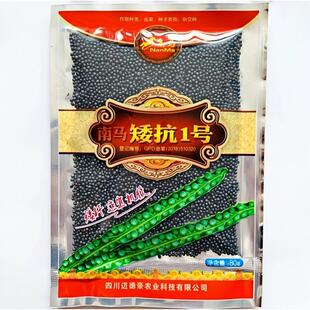 南马矮油种子矮抗1号油菜籽种 抗倒伏高产抗病四川油菜种孑油菜花