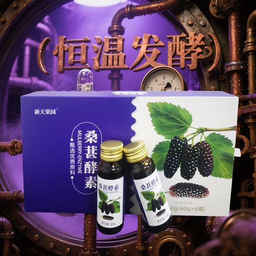 6支中华麒麟桑葚多包五年发酵饮