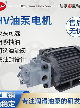 厂家直销 摆线 线泵 润滑油泵电机 TOP-2ML400-2HV20-VO马达油泵