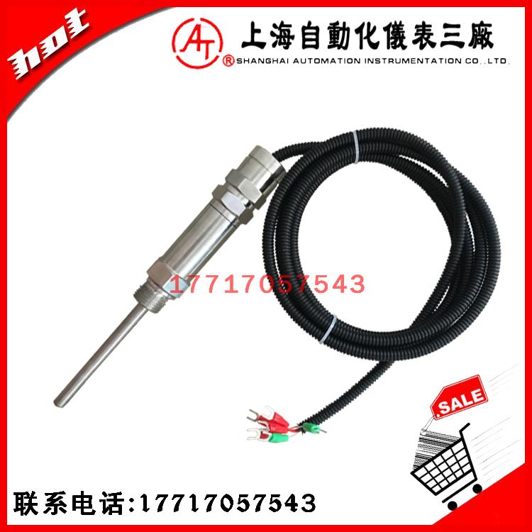 上海自动化仪表WZPM2-08-87.5-G1/2-S-3-K 5000A双支铠装热电阻