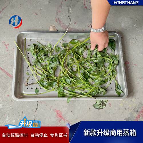 蒸用的工厂671蒸箱 自动全 控温控时蒸柜厂家配餐米饭大窝型蒸房
