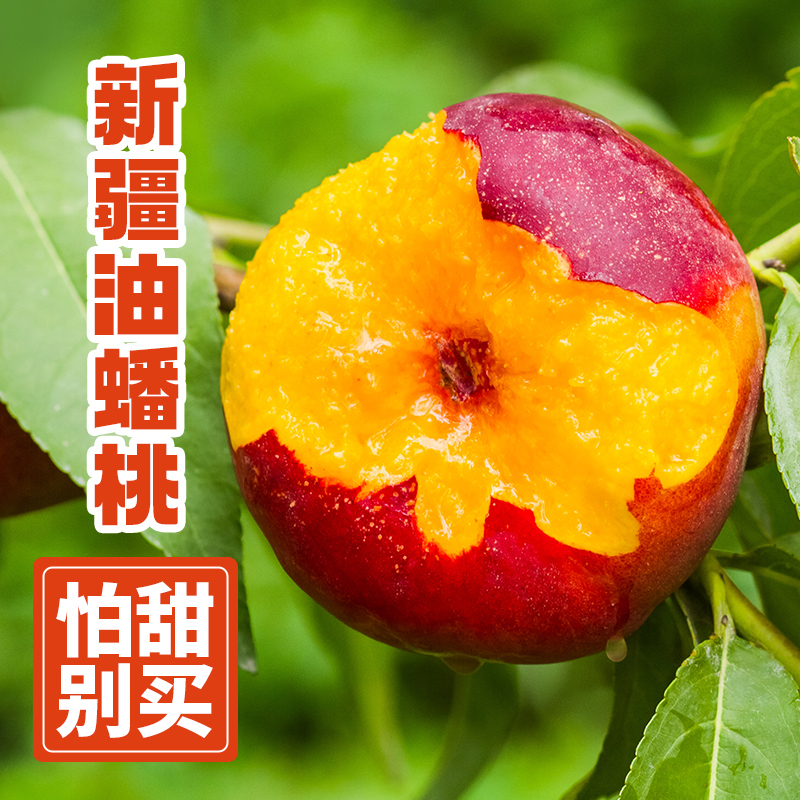 新疆麻点纽扣油蟠桃产地直发