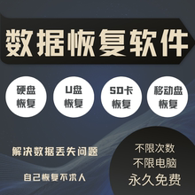 移动硬盘数据恢复电脑文件固态U盘维修SD卡照片远程损坏修复服务