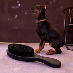 宠物猪鬃刷铜丝刷取毛梳去皮屑浮毛梳狗用杜宾猪毛鬃梳子梳狗狗