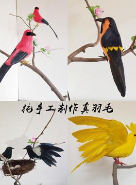仿真羽毛小鸟影视摄影幼儿园教学道具家居橱窗园林创意装饰品摆件