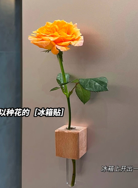 【买一送一】创意实木冰箱磁吸式玻璃瓶水培花器磁吸小花瓶插花器