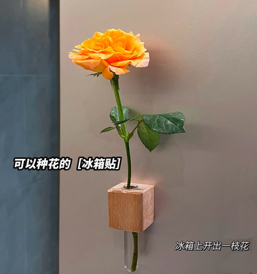 【买一送一】创意实木冰箱磁吸式玻璃瓶水培花器磁吸小花瓶插花器
