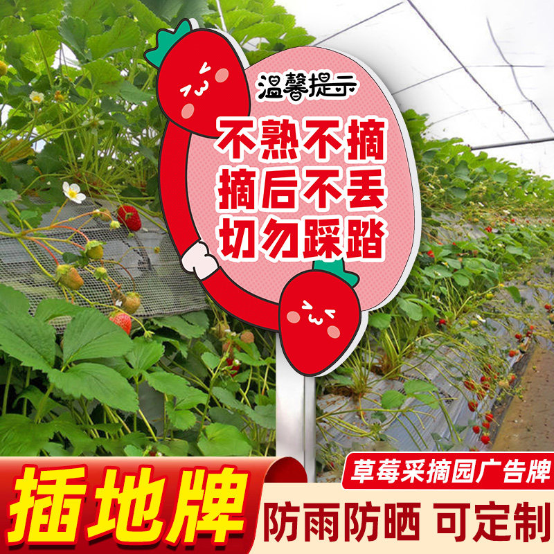 草莓采摘提示牌蔬菜种植区域牌温馨提示牌插地牌订做草莓采摘园广告牌