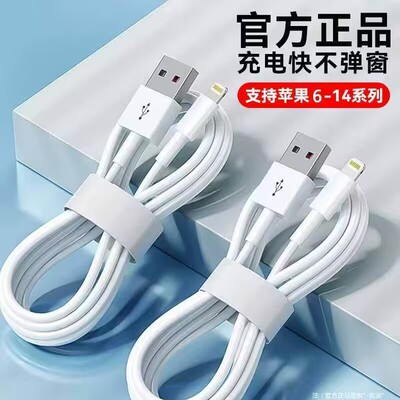苹果14/13闪电2米快充线