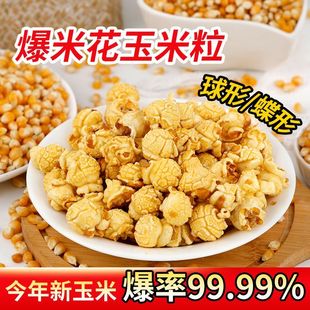 球型专用爆米花玉米粒爆裂玉米粒爆米花原料家用商用批发