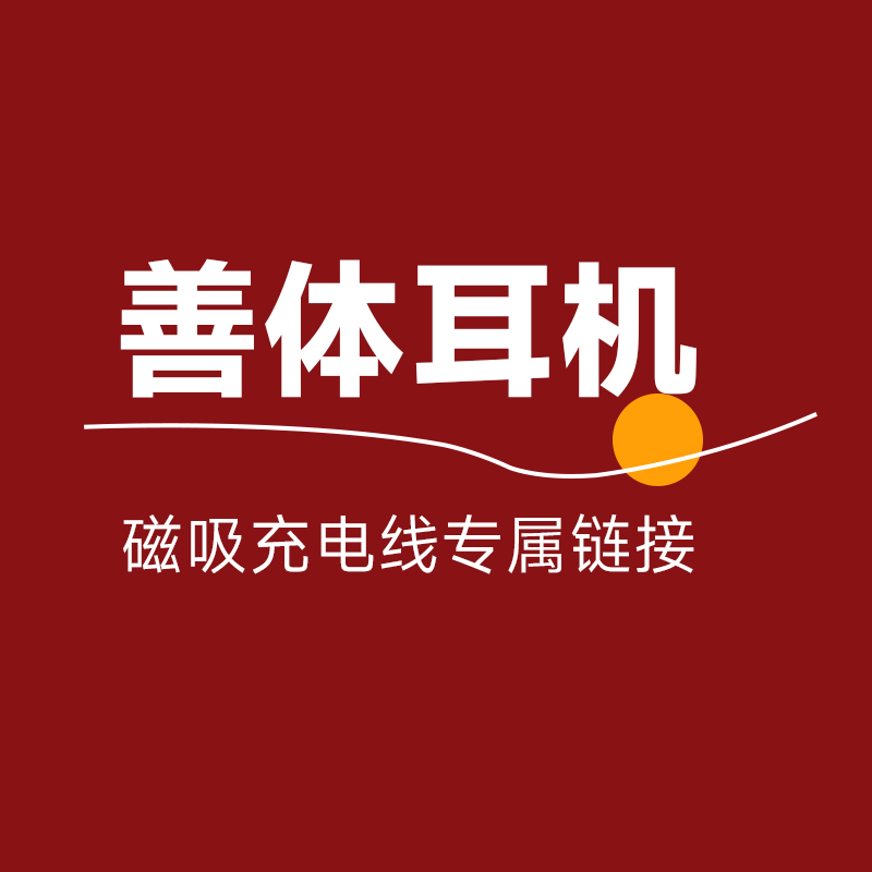 善体X1/S1/P2耳机专用原装充电线