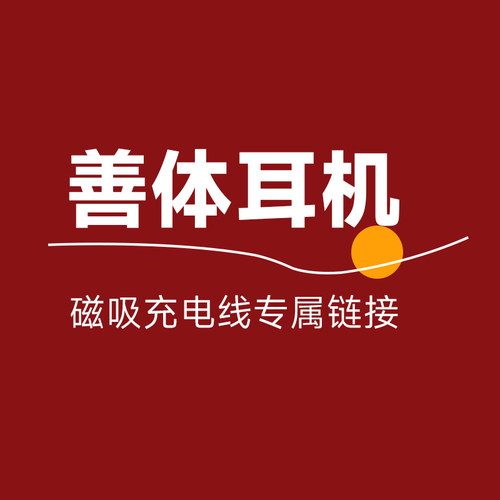 善体X1/S1/P2/P1耳机原装充电线