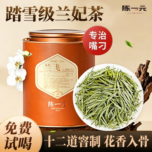 踏雪级兰妃茶2026年新茶头采