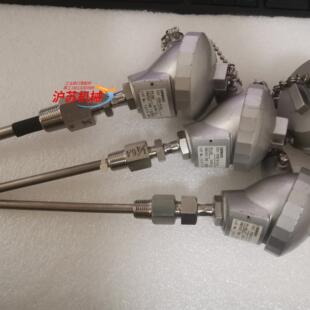 PT100 P20C E52 温度传感器