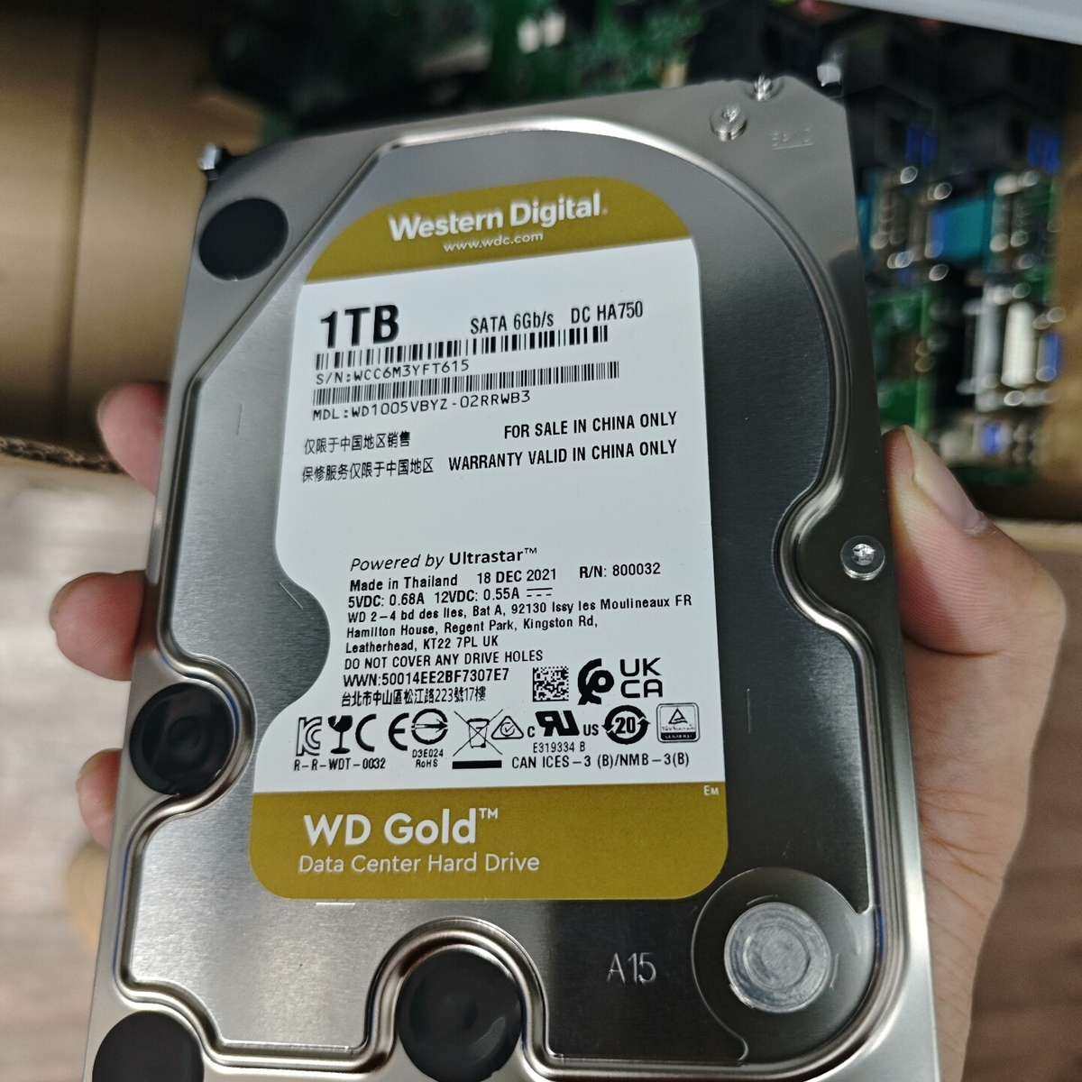 西数金盘1TB企业级硬盘，型号WD1005VBYZ。