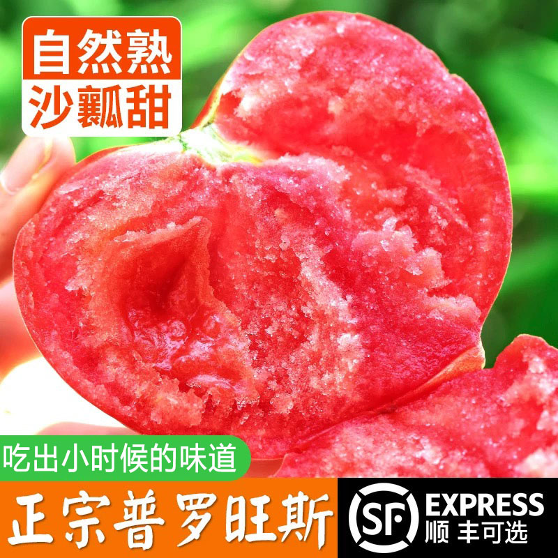 正宗新疆品种自然熟沙瓤西红柿9斤普罗旺斯现摘新鲜水果蔬菜番茄