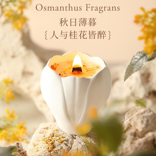 玉兰花持久清新香薰蜡烛礼盒送礼