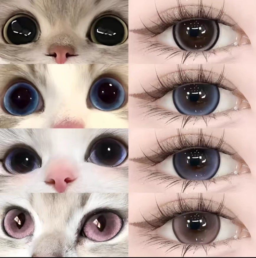 2片装】珍宝珠猫咪美瞳半年抛大直径纯欲混血彩色隐形眼镜带度数