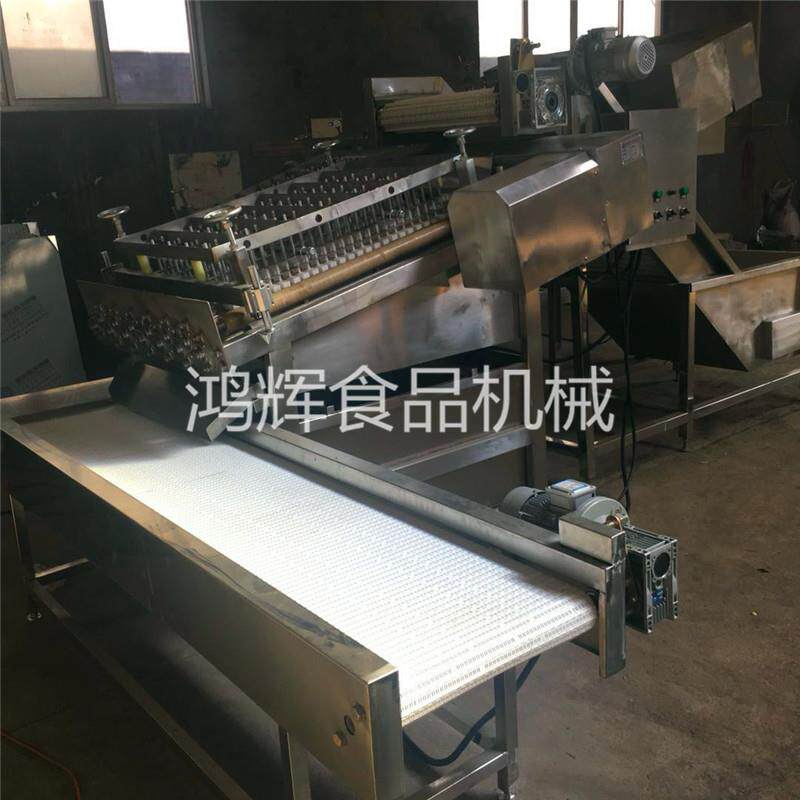 南美白型去皮BK-150机 国内虾机自动 大虾子剥皮机 虾尾全完剥整