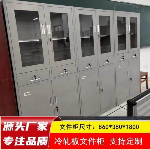 福JD-0366加文厚件柜办公室建钢制纹铁皮资料档案储物柜转印木更