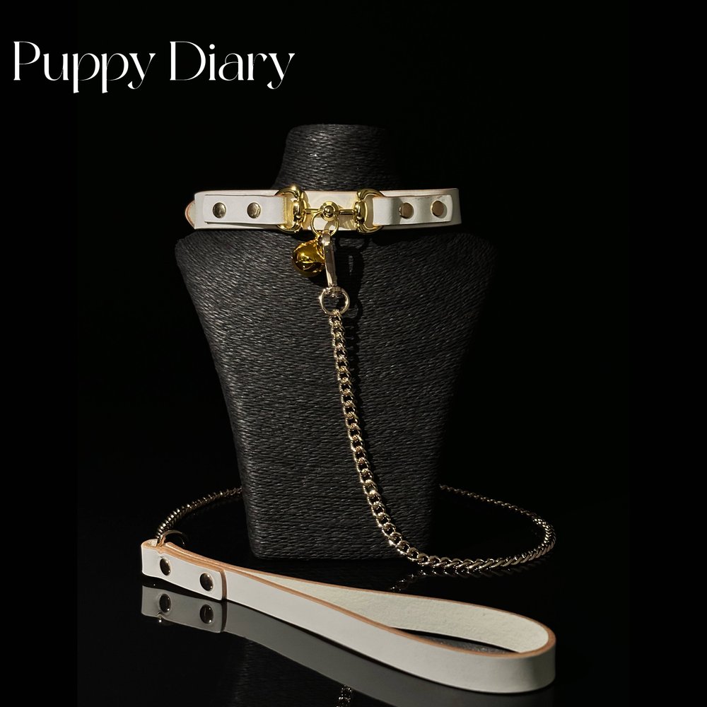 Puppy*铃铛项圈女皮质choker带牵