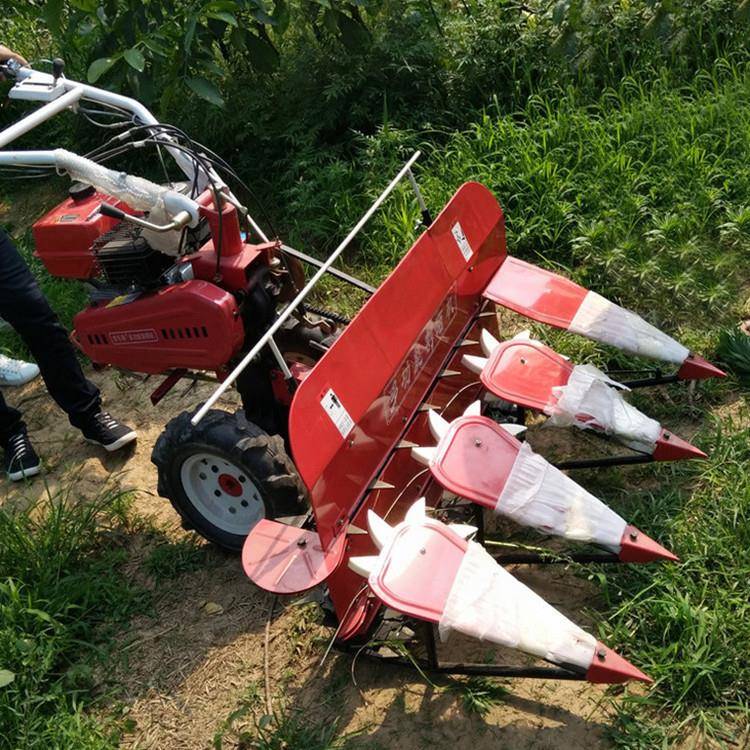 甘肃芦苇割晒机多类型割晒机割台前置式四轮自走割晒机