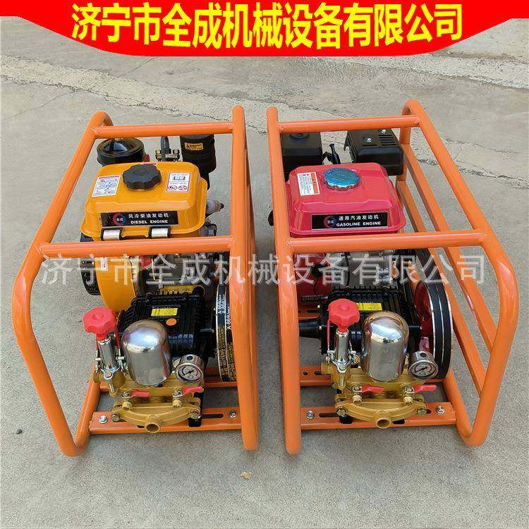 园林高射程汽油担架式打药机 植保果园喷雾机 农业稻田打药机,农机/农具/农膜,植保机械,淘宝优惠券,粉丝福利购,淘宝优惠卷