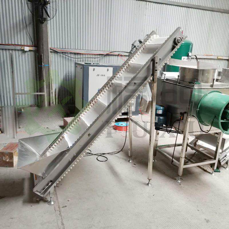 大蒜剥皮机流水线 链条式剥蒜机 福煦剥蒜机 无损伤大蒜加工线