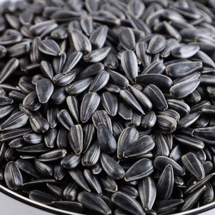 黑珍珠油葵瓜子新货五香小瓜子小包装原味现炒精选葵花籽休闲食品