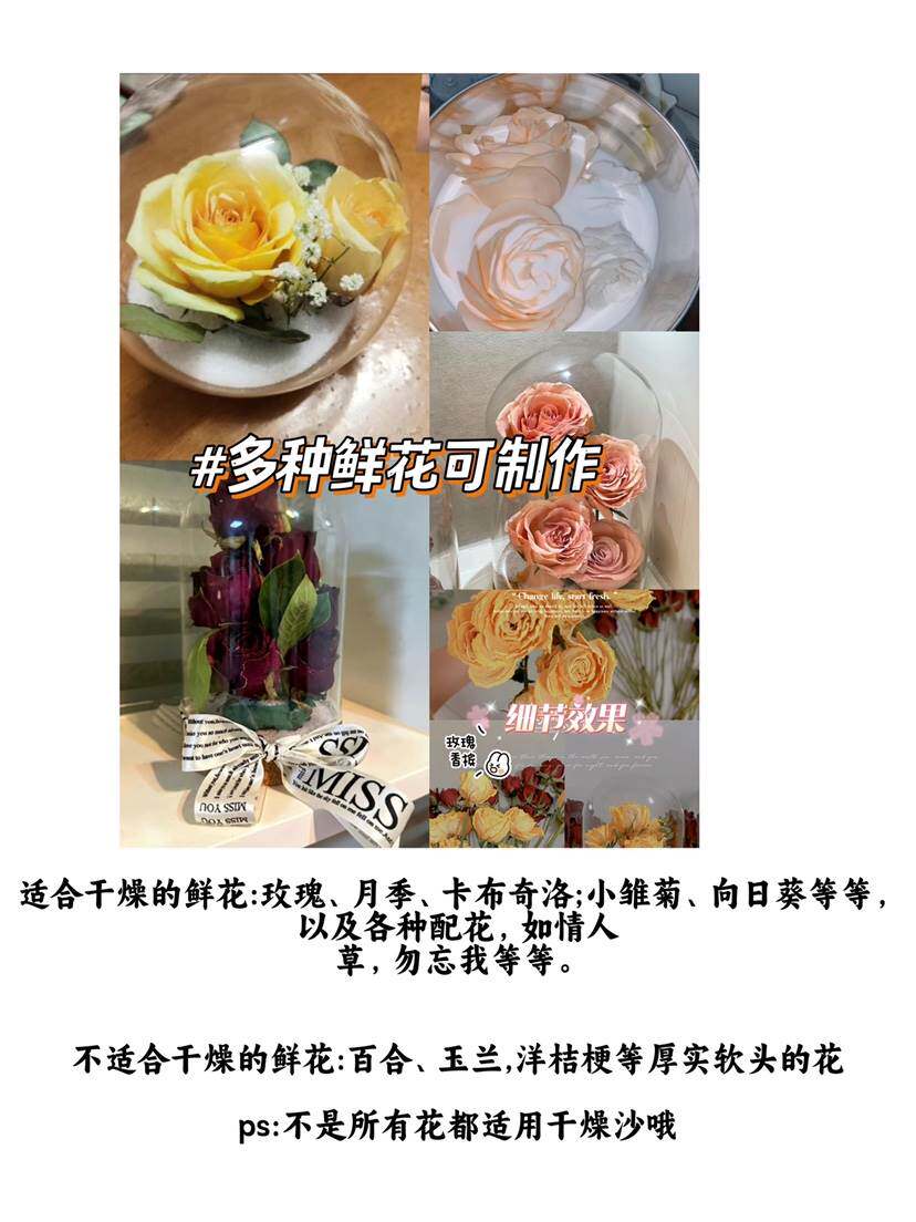 鲜花干燥剂干花制作永生花Diy材料硅胶重复用植物押花标本干花剂