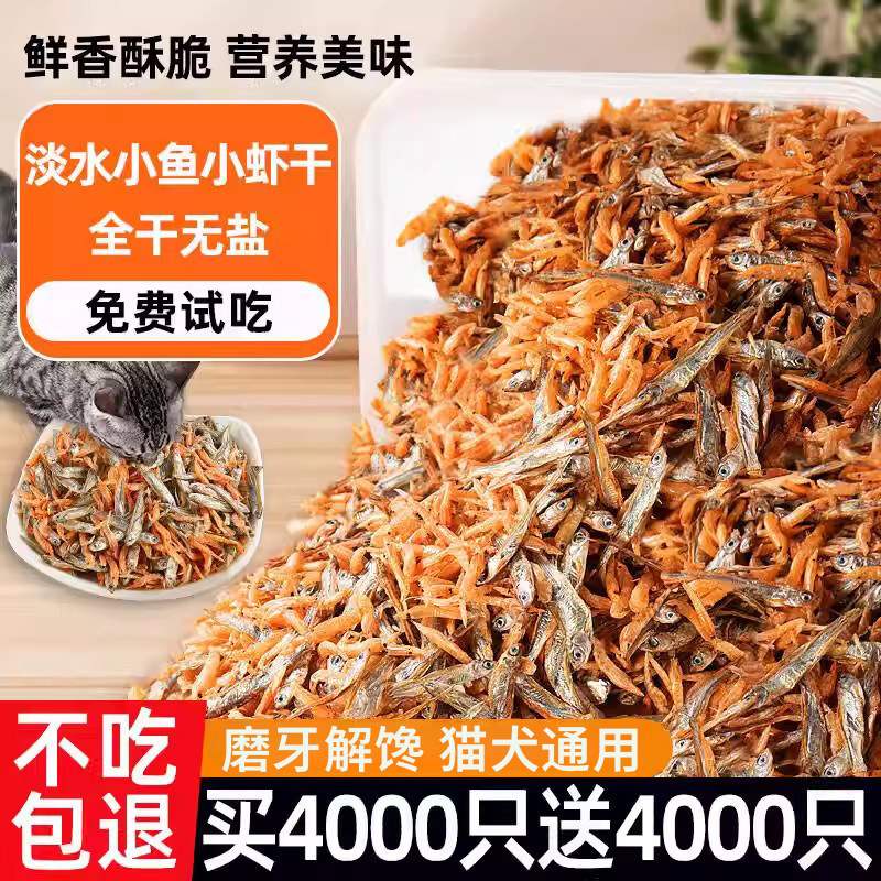 爆款推荐~8000条乌龟小零食猫咪