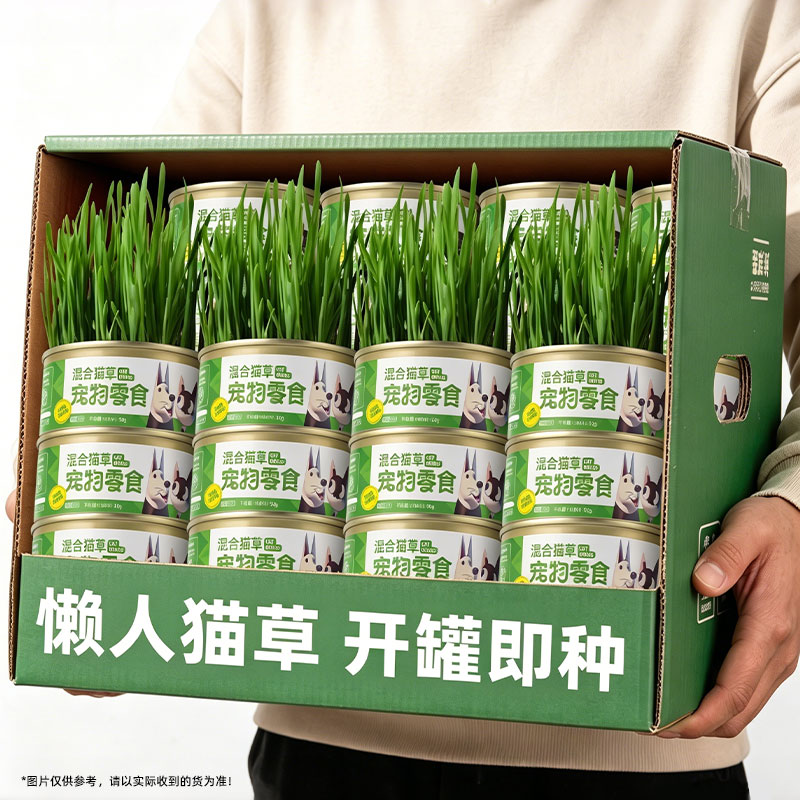猫草盆栽猫咪罐头水培无土助毛消