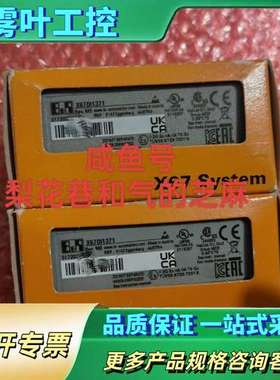 X67DI1371  X67AI4850贝加莱模块正【议价】