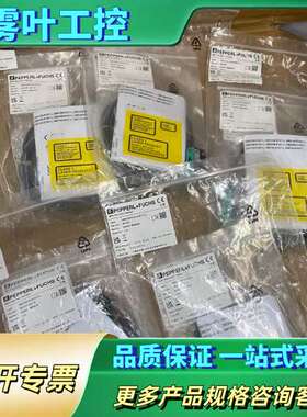 倍加福传感器OBT300-R100-2EP-IO-L，原【议价】