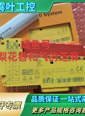 X20S02530  贝加莱正品，欢迎咨询，快递默认【议价】